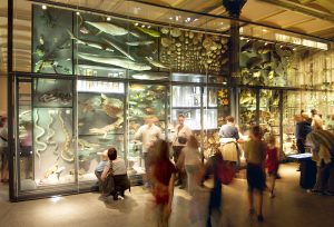 „Wir erreichen mit Leichtigkeit eine Zielgruppe, um die andere schwer kämpfen müssen“